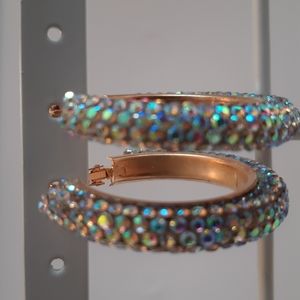 Crystal Collection Earrings